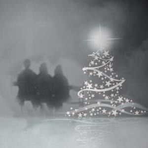 Meet your Posher, Judy